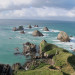 New Zealand: The South Island by backpacker bus